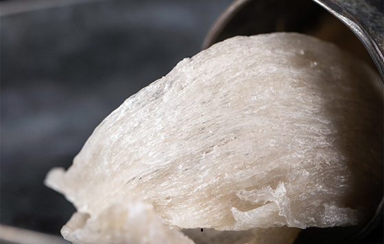 Frozen food Frozen food