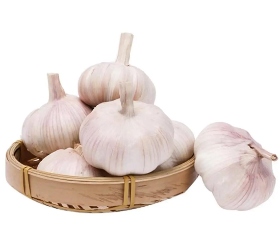 Cold chain storage bases for fruits and vegetables in China