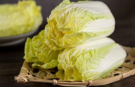 Cabbage Import and Export Manufacturers
