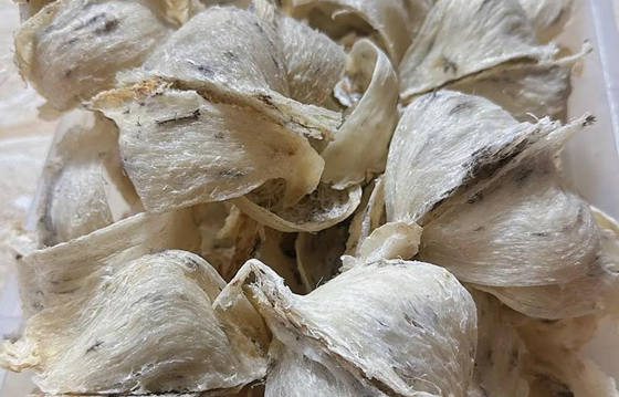 Vietnamese bird's nest