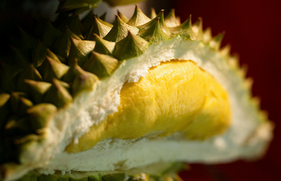 Durian