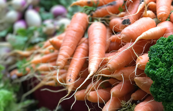 Carrot exports